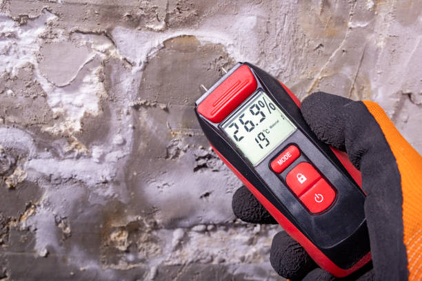 Best HVAC Mold Remediation in Homestead Meadows South, TX